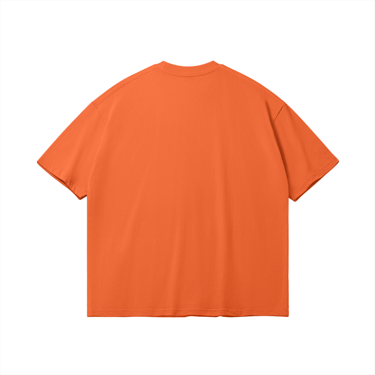 0-Y15-Back Side